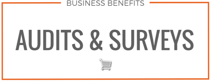 Business Benefits Audits Surveys