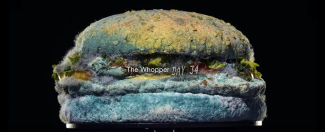 Burger King Moldy Whopper